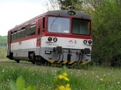 Zobrazi� cel� fotku