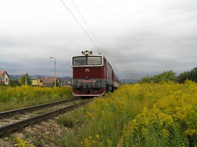 Zobrazi� cel� fotku