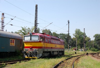 Zobrazi� cel� fotku