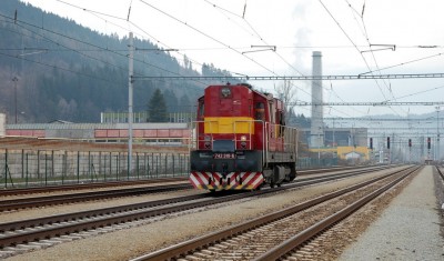 Zobrazi� cel� fotku