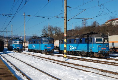 Zobrazi� cel� fotku