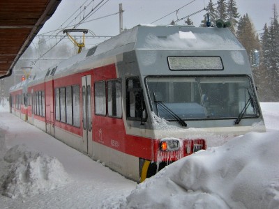 Zobrazi� cel� fotku