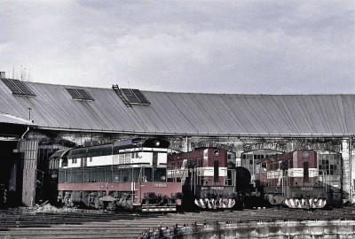 Zobrazi� cel� fotku