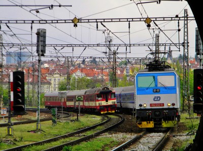 Zobrazi� cel� fotku