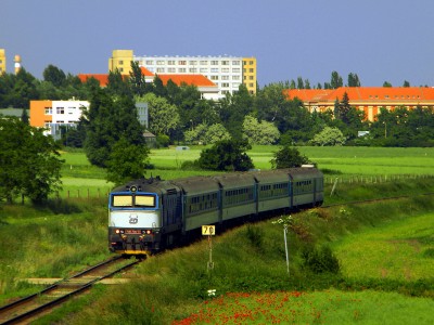 Zobrazi� cel� fotku