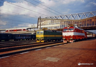 Zobrazi� cel� fotku