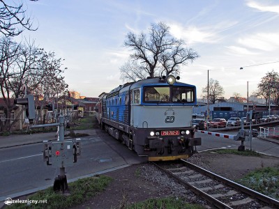 Zobrazi� cel� fotku