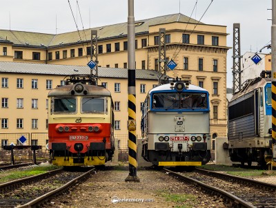 Zobrazi� cel� fotku