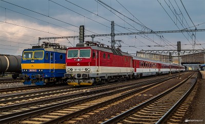 Zobrazi� cel� fotku
