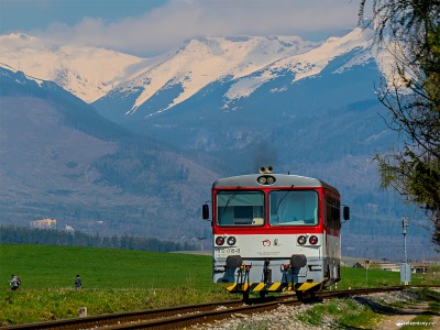 Zobrazi� cel� fotku