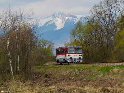 Zobrazi� cel� fotku