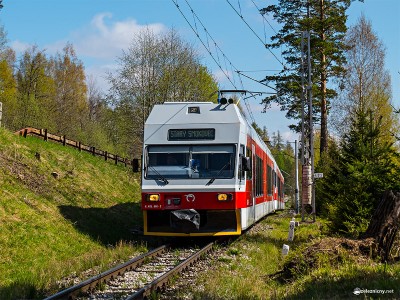 Zobrazi� cel� fotku