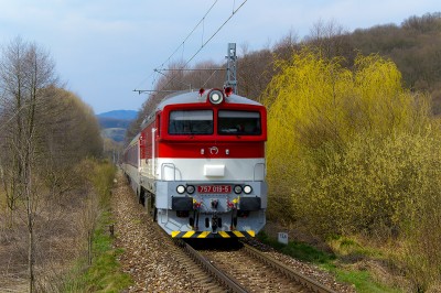 Zobrazi� cel� fotku