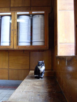 Zobrazi� cel� fotku