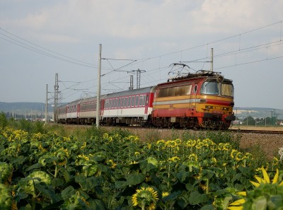 Zobrazi� cel� fotku