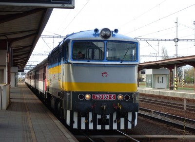 Zobrazi� cel� fotku