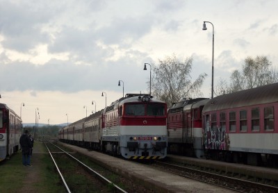 Zobrazi� cel� fotku