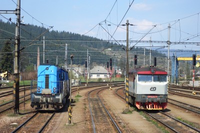 Zobrazi� cel� fotku