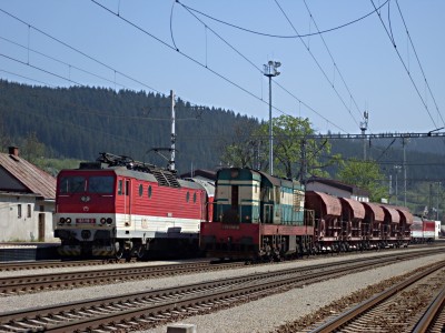 Zobrazi� cel� fotku