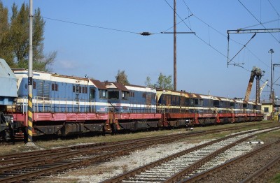 Zobrazi� cel� fotku