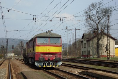 Zobrazi� cel� fotku