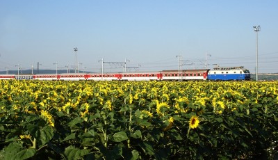 Zobrazi� cel� fotku