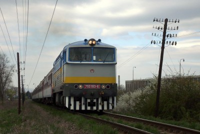 Zobrazi� cel� fotku