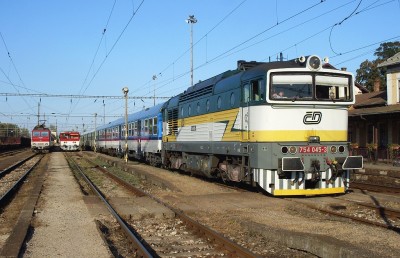 Zobrazi� cel� fotku