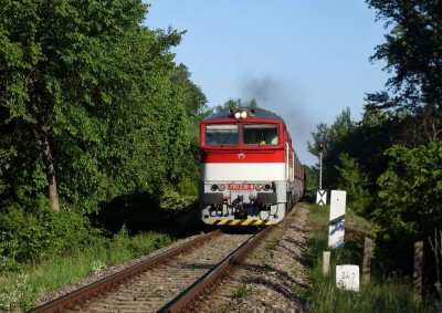 Zobrazi� cel� fotku