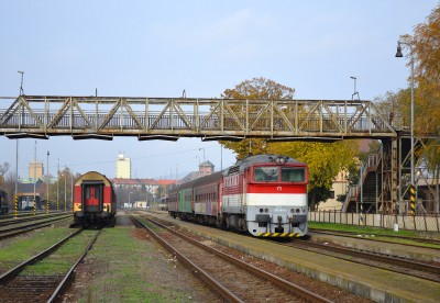 Zobrazi� cel� fotku