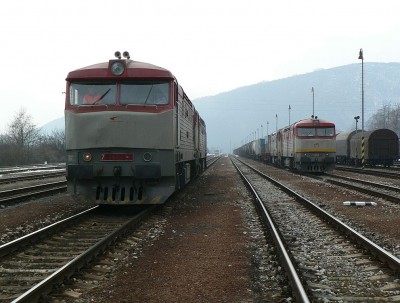 Zobrazi� cel� fotku