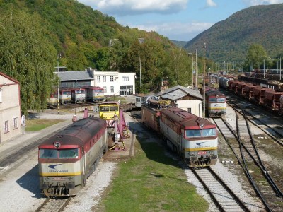 Zobrazi� cel� fotku
