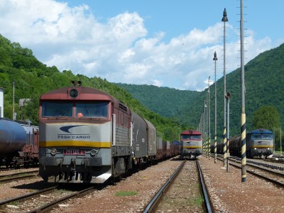 Zobrazi� cel� fotku