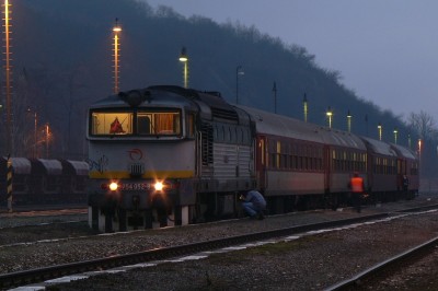 Zobrazi� cel� fotku