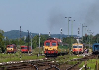Zobrazi� cel� fotku