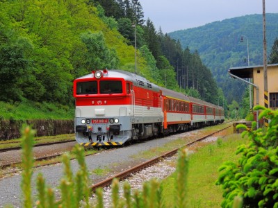 Zobrazi� cel� fotku