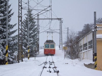 Zobrazi� cel� fotku