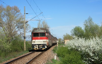 Zobrazi� cel� fotku
