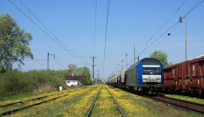 Zobrazi� cel� fotku