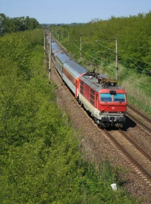 Zobrazi� cel� fotku