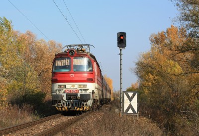 Zobrazi� cel� fotku