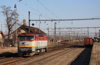 Zobrazi� cel� fotku