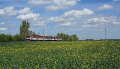 Zobrazi� cel� fotku