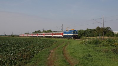 Zobrazi� cel� fotku