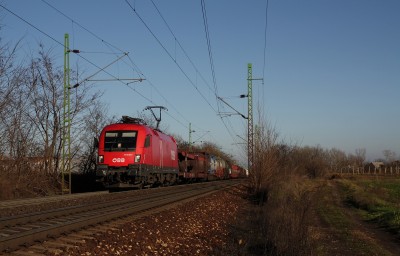 Zobrazi� cel� fotku