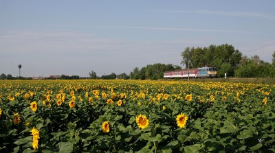 Zobrazi� cel� fotku