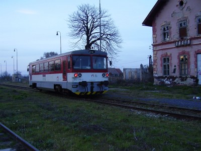 Zobrazi� cel� fotku