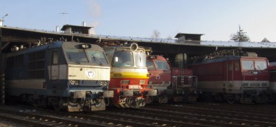 Zobrazi� cel� fotku