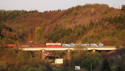 Zobrazi� cel� fotku