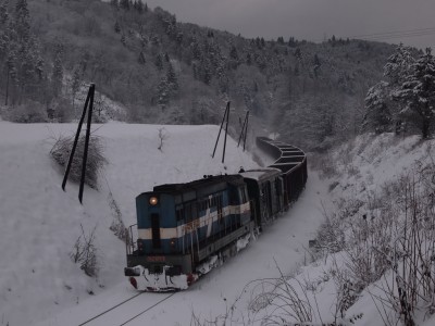 Zobrazi� cel� fotku